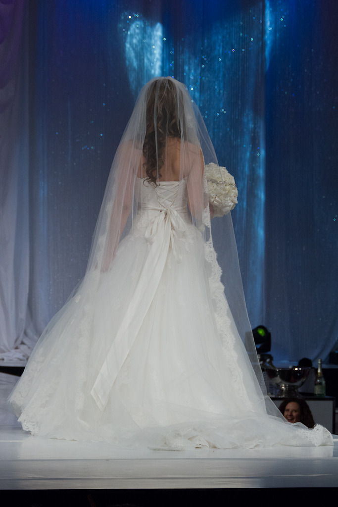 Canada's Bridal Show 2014